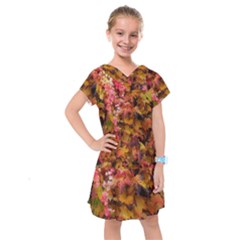 Red And Yellow Ivy Kids  Drop Waist Dress by okhismakingart