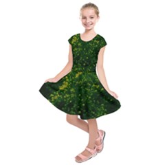 Green Goldenrod Kids  Short Sleeve Dress by okhismakingart