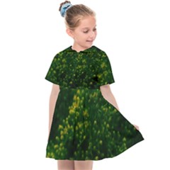 Green Goldenrod Kids  Sailor Dress by okhismakingart