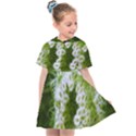 Green Closing Queen Annes Lace Kids  Sailor Dress View1