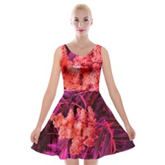 Pink Sideways Sumac Velvet Skater Dress by okhismakingart