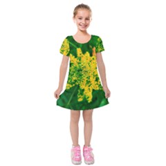 Yellow Sumac Bloom Kids  Short Sleeve Velvet Dress by okhismakingart