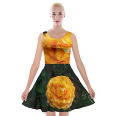 Yellow Rose Velvet Skater Dress by okhismakingart