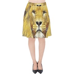 Lion Lioness Wildlife Hunter Velvet High Waist Skirt by Pakrebo