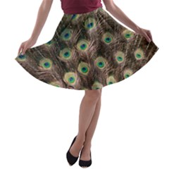 Bird Peacock Tail Feathers A-line Skater Skirt by Pakrebo