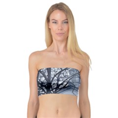 Bowling Green Prout Chapel Bandeau Top by Riverwoman