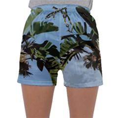 Palm Tree Sleepwear Shorts by snowwhitegirl