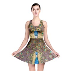 Bird Peacock Feather Reversible Skater Dress by HermanTelo