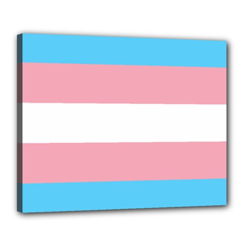 Transgender Pride Flag Canvas 20  X 16  (stretched) by lgbtnation