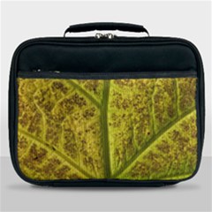 Leaf Structure Texture Background Lunch Bag by Pakrebo