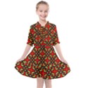 RBY-2-8 Kids  All Frills Chiffon Dress View1