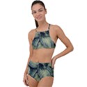 Closeup Photo Of Green Variegated Leaf Plants High Waist Tankini Set View1