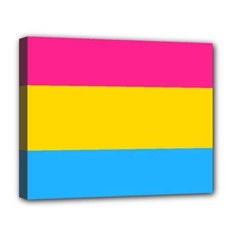 Pansexual Pride Flag Deluxe Canvas 20  X 16  (stretched) by lgbtnation