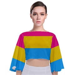 Pansexual Pride Flag Tie Back Butterfly Sleeve Chiffon Top by lgbtnation