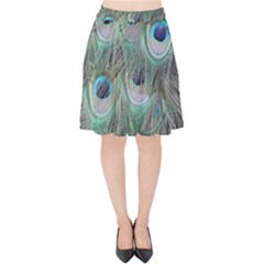 Peacock Feather Pattern Plumage Velvet High Waist Skirt by Pakrebo