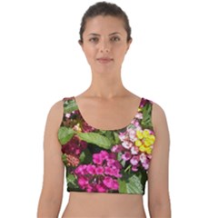 Summer Lantana W Bee Velvet Crop Top by Riverwoman