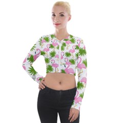 Seamless Pattern With Cute Flamingos Long Sleeve Cropped Velvet Jacket by Vaneshart