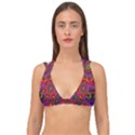 Kaleidoscope Pattern Ornament Double Strap Halter Bikini Top View1