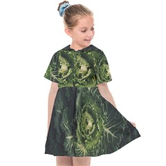 Plant Leaf Flower Green Produce Vegetable Botany Flora Cabbage Macro Photography Flowering Plant Kids  Sailor Dress by Vaneshart