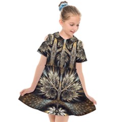 Roots Abstract Sectors Layers Colors Kids  Short Sleeve Shirt Dress by Vaneshart