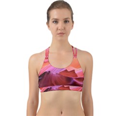 Canyon Arizona Sand Stone Back Web Sports Bra by Vaneshart