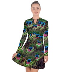 Peacock Feathers Color Plumage Long Sleeve Panel Dress by Celenk