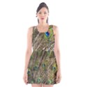 Peacock Feathers Color Plumage Green Scoop Neck Skater Dress View1