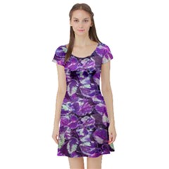 Botanical Violet Print Pattern 2 Short Sleeve Skater Dress by dflcprintsclothing