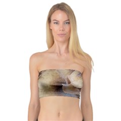 Close Up Mushroom Abstract Bandeau Top by Fractalsandkaleidoscopes