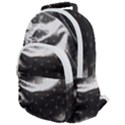 Polka Dots 1 2 Rounded Multi Pocket Backpack View1