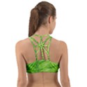 Green Bright Digital Manipulation Back Web Sports Bra View2