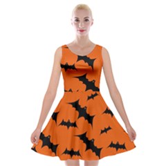 Halloween Card With Bats Flying Pattern Velvet Skater Dress by Vaneshart