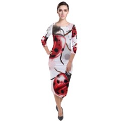 Ladybugs-pattern-texture-watercolor Quarter Sleeve Midi Velour Bodycon Dress by Vaneshart