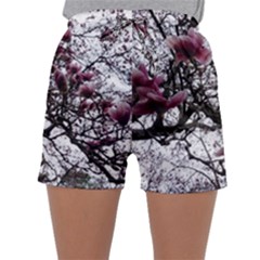 Saucer Magnolia Tree Sleepwear Shorts by okhismakingart