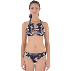 Cats Brothers Perfectly Cut Out Bikini Set by Sparkle