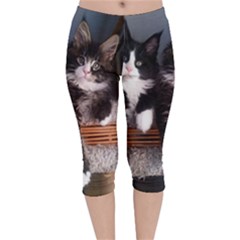 Cats Brothers Velvet Capri Leggings  by Sparkle