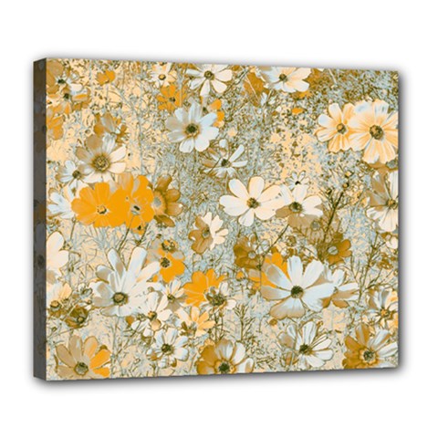 Cosmos Flowers Sepia Color Deluxe Canvas 24  X 20  (stretched) by DinkovaArt