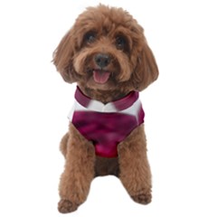 Fun Fuschia Dog Sweater by Janetaudreywilson