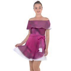 Fun Fuschia Off Shoulder Velour Dress by Janetaudreywilson