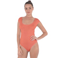 Appreciating Apricot Short Sleeve Leotard  by Janetaudreywilson