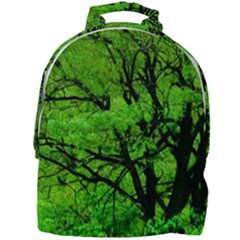 Big Trees, El Leoncito National Park, San Juan, Argentina Mini Full Print Backpack by dflcprintsclothing