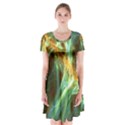 Abstract Illusion Short Sleeve V-neck Flare Dress View1