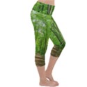 In the forest the fullness of spring, green, Lightweight Velour Capri Yoga Leggings View3