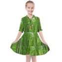 In the forest the fullness of spring, green, Kids  All Frills Chiffon Dress View1