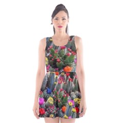 Cactus Scoop Neck Skater Dress by Sparkle