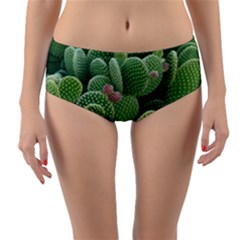 Green Cactus Reversible Mid-waist Bikini Bottoms by Sparkle