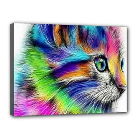 Rainbowcat Canvas 16  X 12  (stretched) by Sparkle