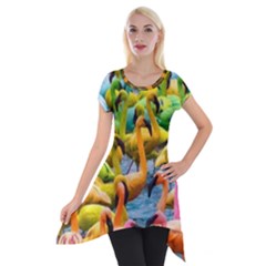 Rainbow Flamingos Short Sleeve Side Drop Tunic by Sparkle