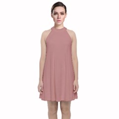 Velvet Halter Neckline Dress by Infinities