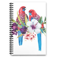 Tropical Parrots 5 5  X 8 5  Notebook by goljakoff